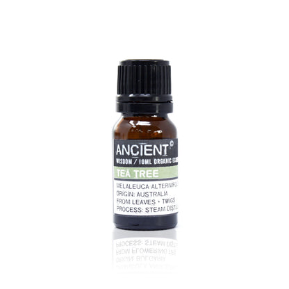 Tea Tree - Bio Essentiële Olie 10ml