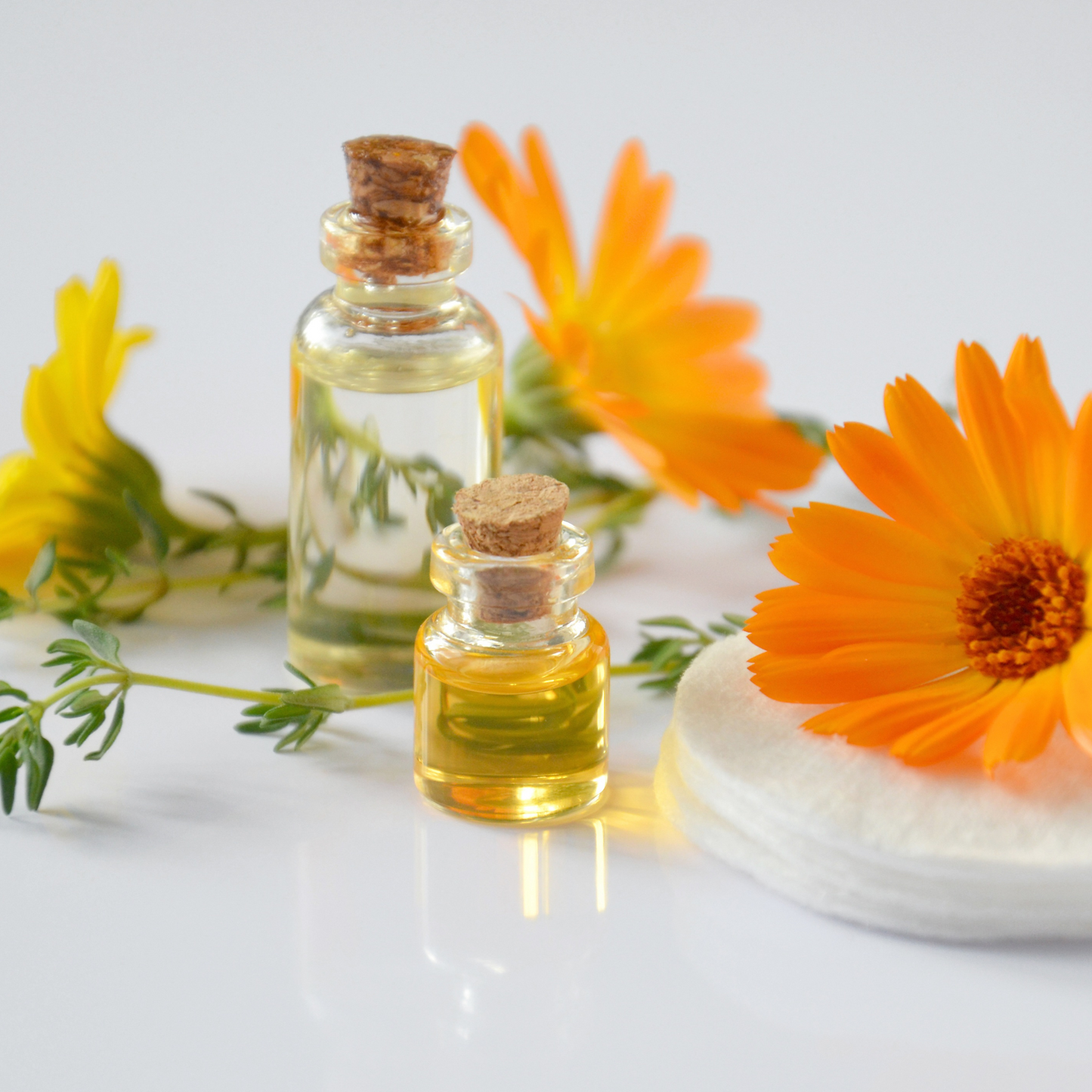 Calendula olie - 100ml