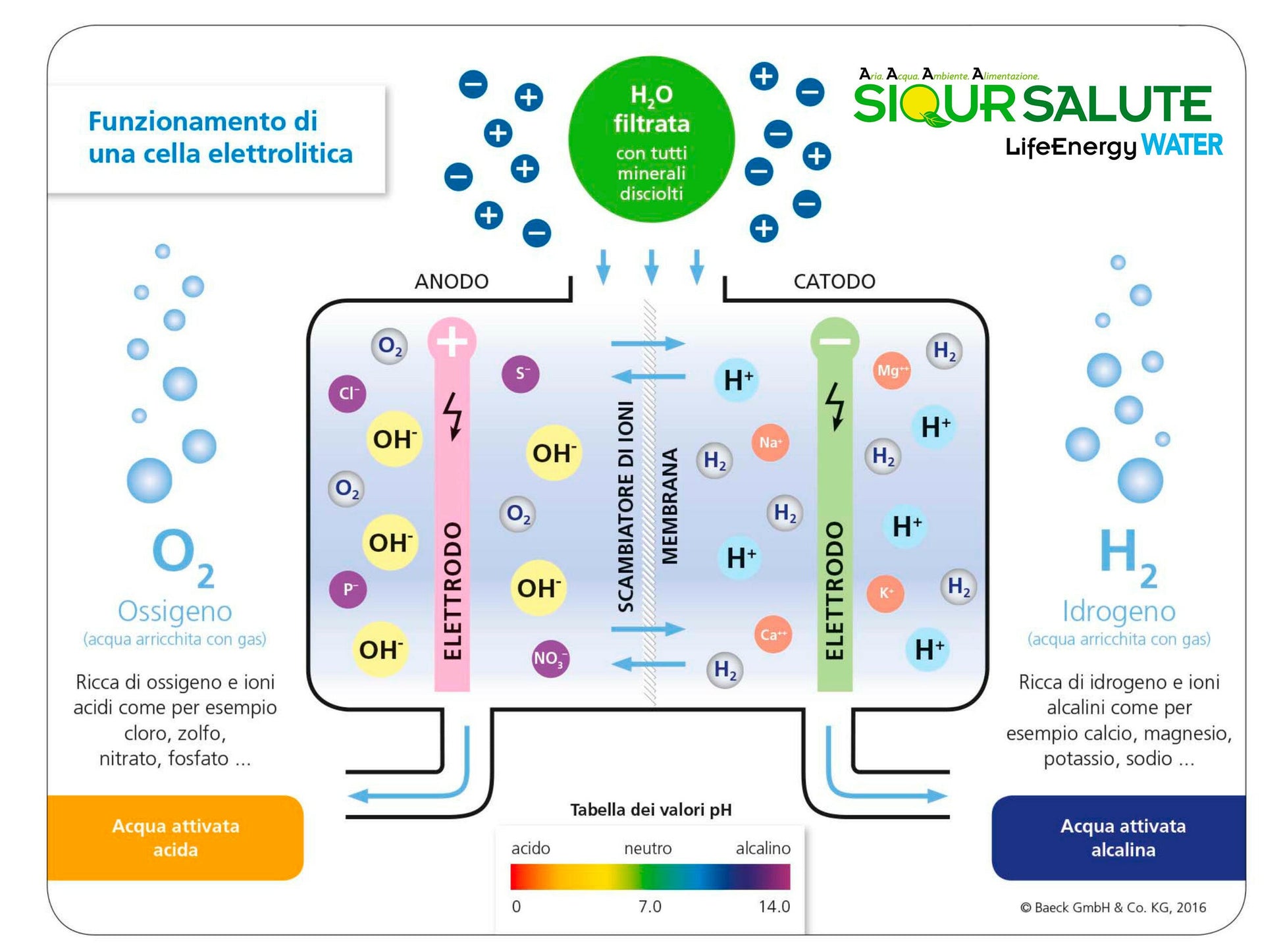 Purifier&Ionizer of water LifeEnergy WATER-5